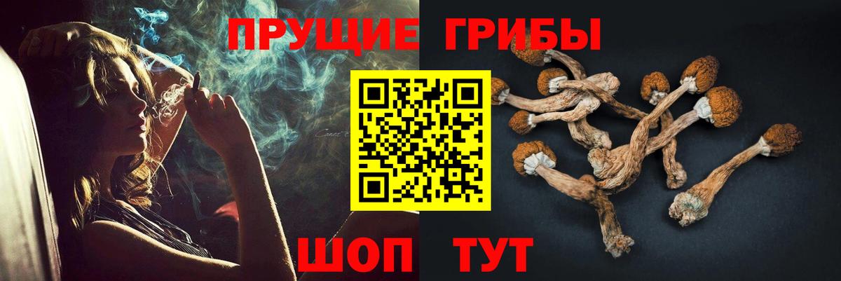 Галлюциногенные грибы Cubensis  Псилоцибиновые грибы Psilocybe  Вход с VPN  Новочеркасск 